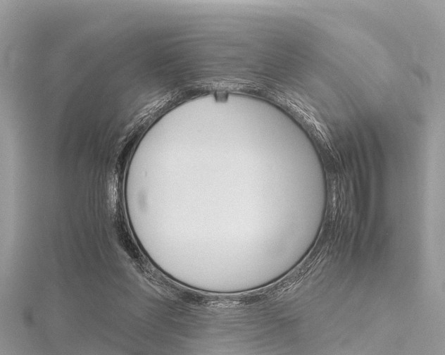 X0000116290206200911301000