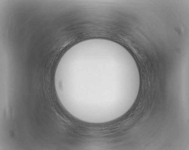 X0000116290211200911301000
