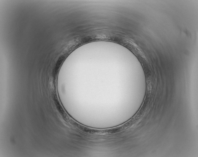 X0000116290213200911301000