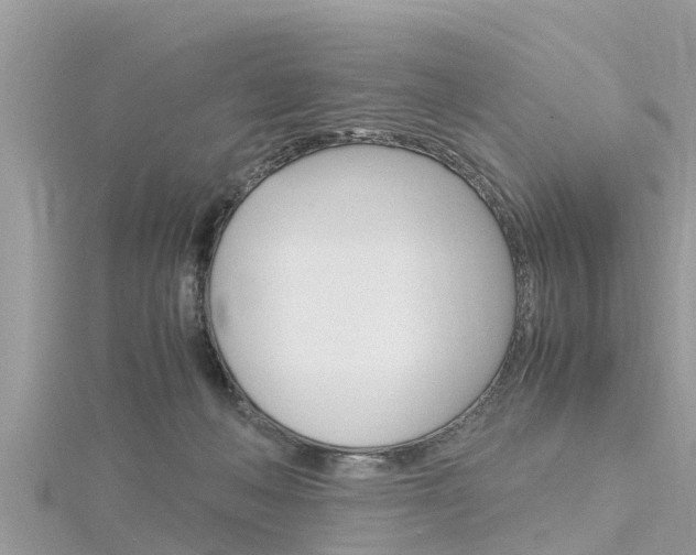 X0000116290222200911300959