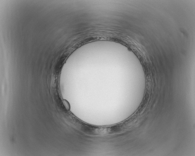 X0000116290225200911300959