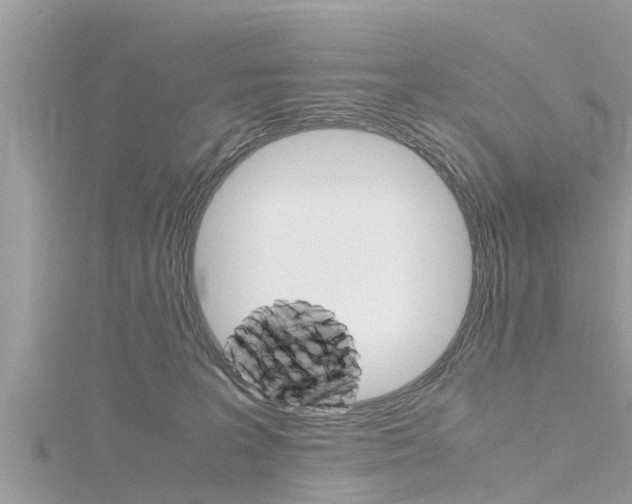 X0000116290227200911300959
