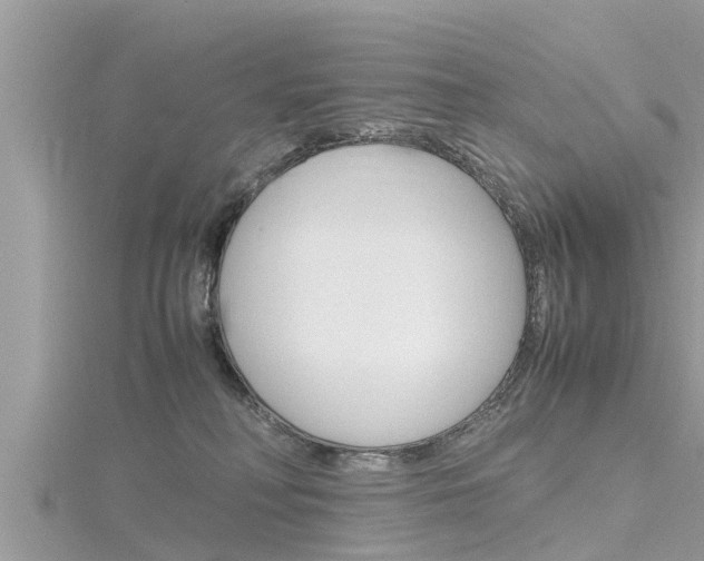 X0000116290230200911300959