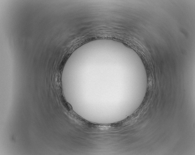 X0000116290233200911300959