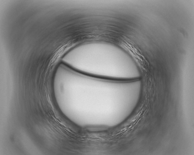 X0000116290241200911300959