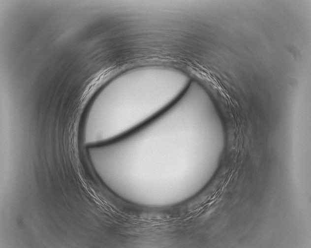 X0000116290242200911300959