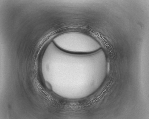 X0000116290243200911300959