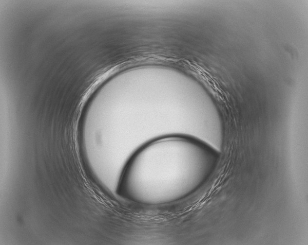 X0000116290244200911300959