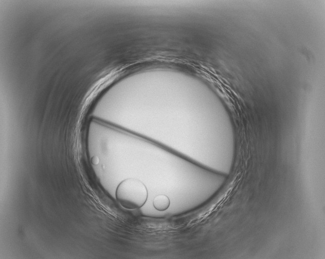 X0000116290245200911300959