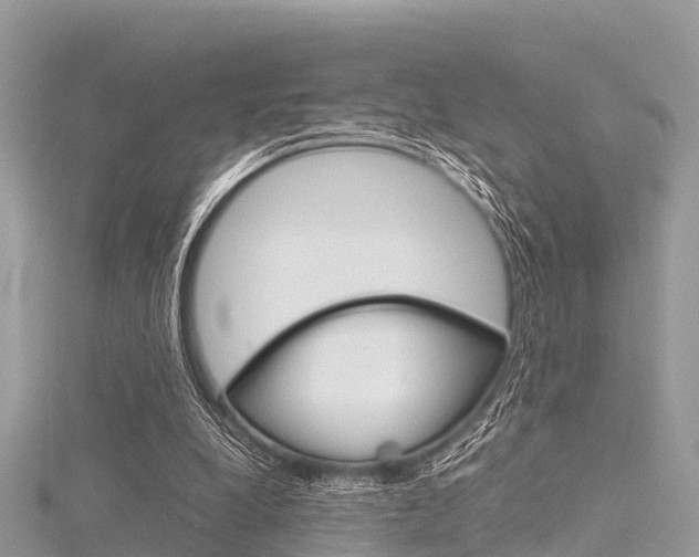 X0000116290248200911300959