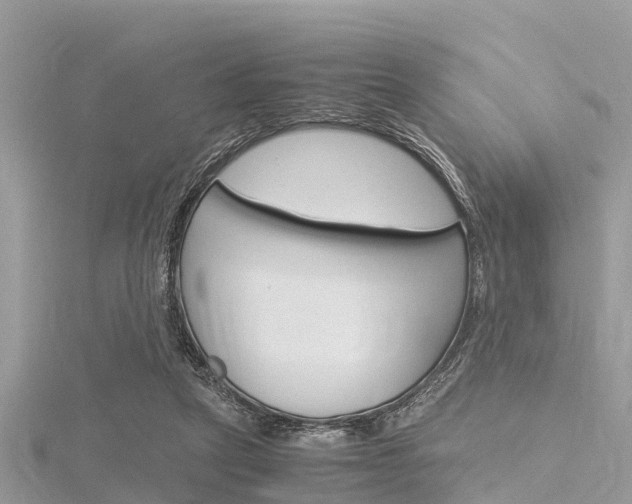 X0000116290257200911300959