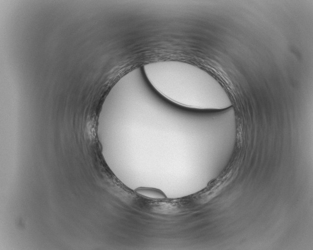 X0000116290285200911300959