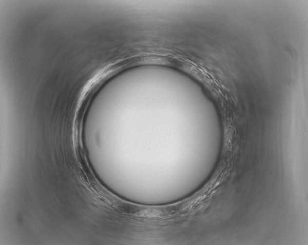 X0000116290294200911300958