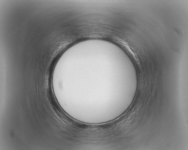 X0000116290299200911300958