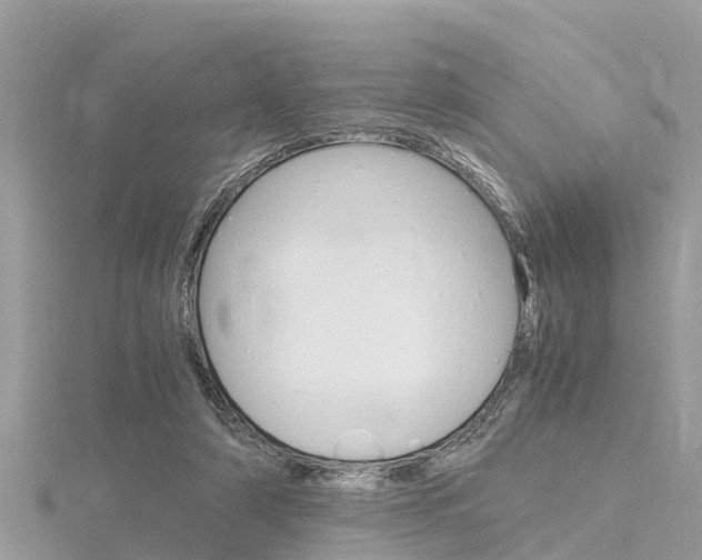 X0000116290306200911300958