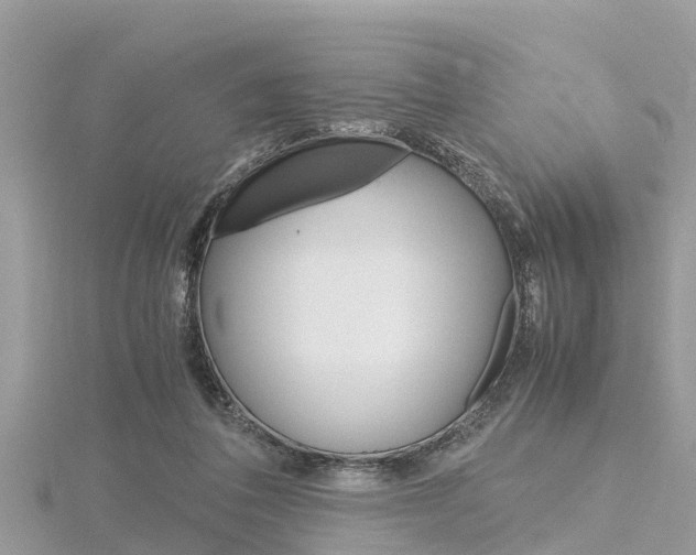 X0000116290308200911300958