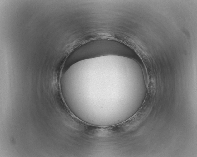 X0000116290320200911300958