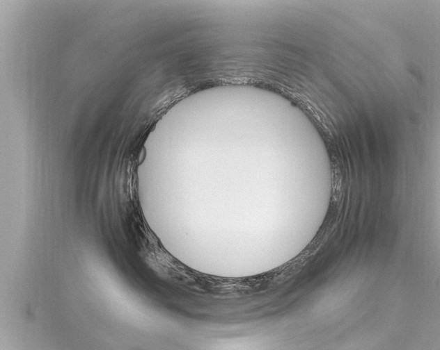X0000116290334200911300958
