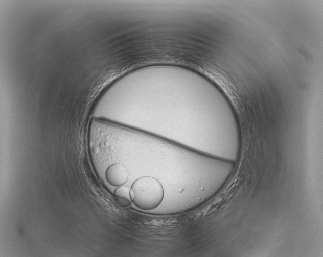 X0000116290345200911300957
