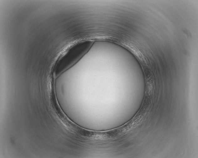 X0000116290350200911300957