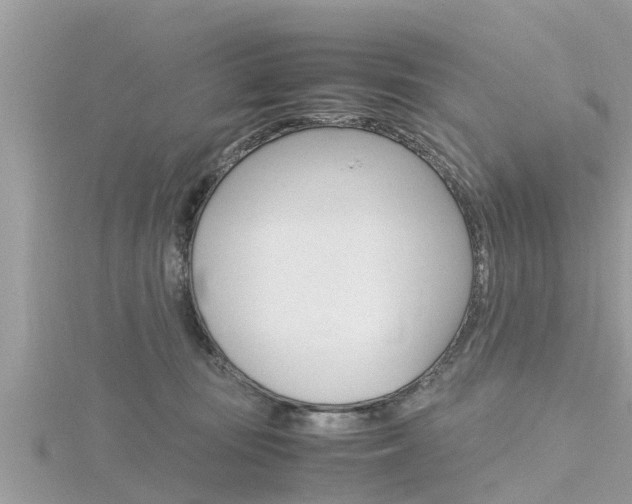 X0000116290371200911300958