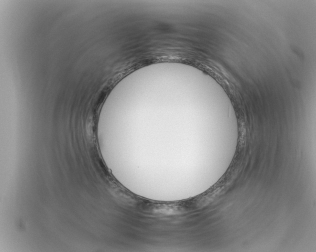 X0000116290377200911300958