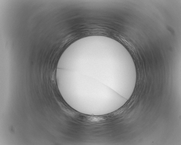 X0000116290379200911300958