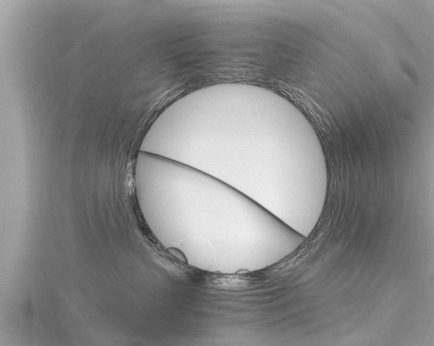 X0000116290383200911300958