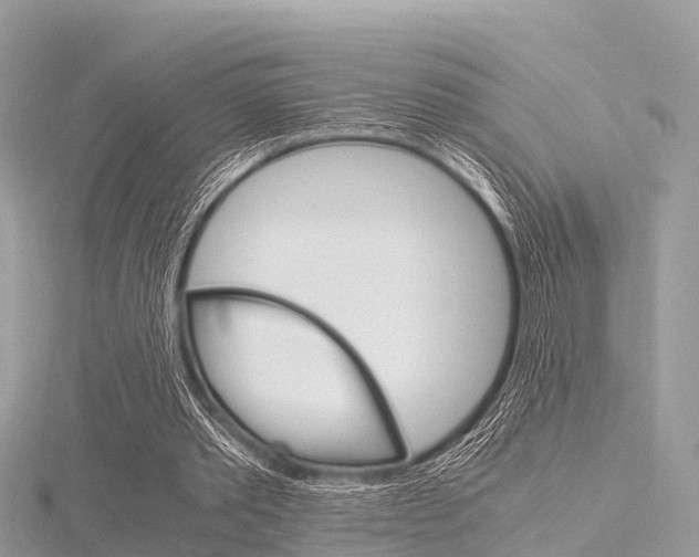 X0000116290389200911300957