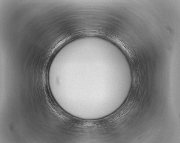 X0000116290390200911300957
