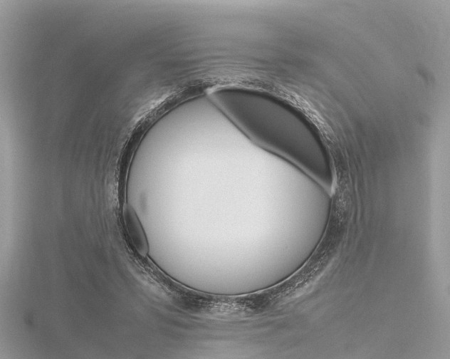 X0000116290399200911300957