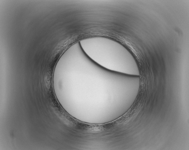 X0000116290402200911300957