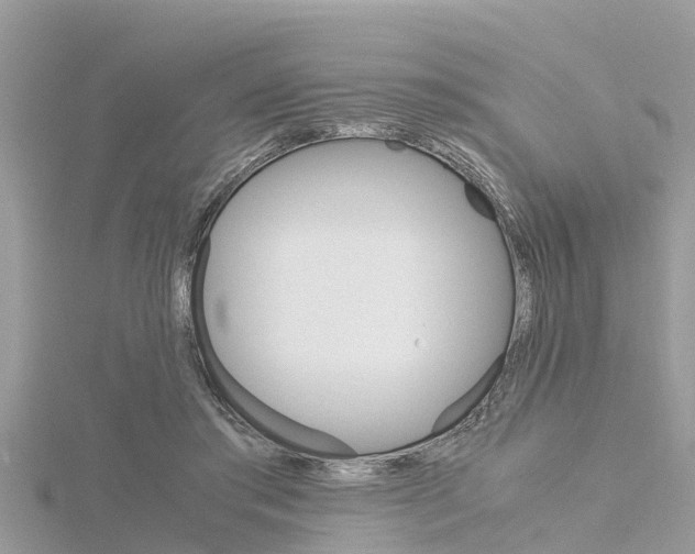 X0000116290405200911300957