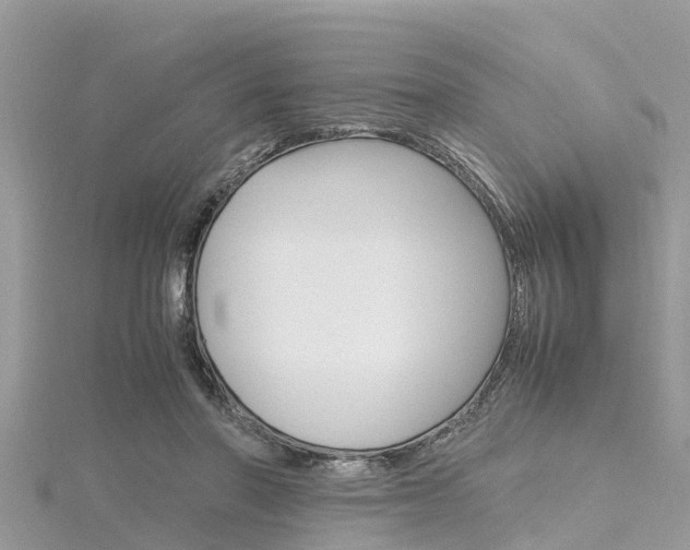 X0000116290406200911300957