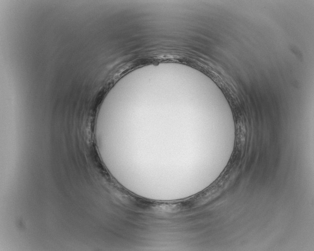 X0000116290422200911300957