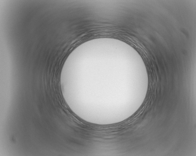 X0000116290425200911300957