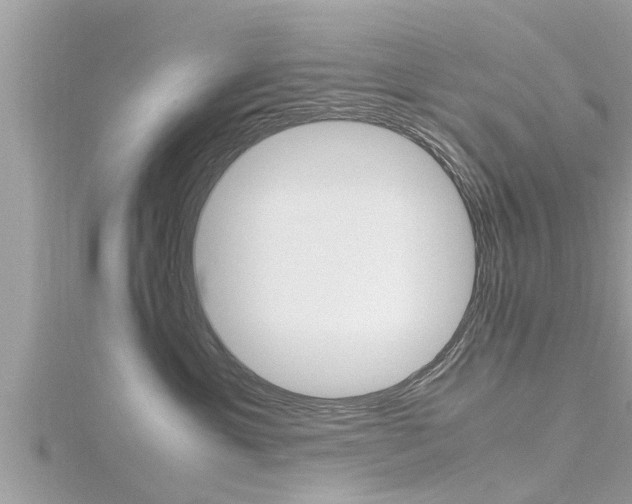 X0000116290429200911300957