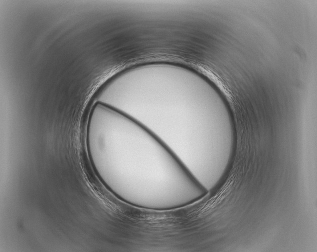 X0000116290439200911300956