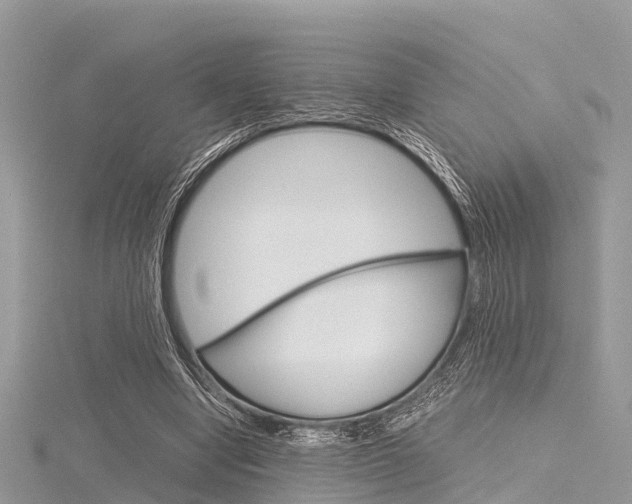 X0000116290442200911300956