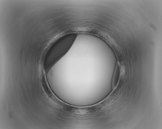 X0000116290444200911300956
