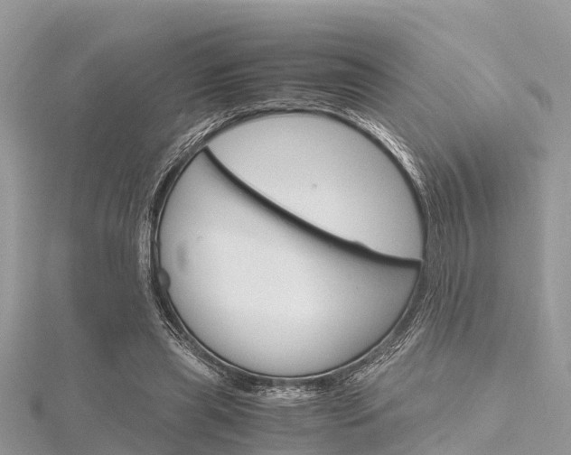 X0000116290445200911300956