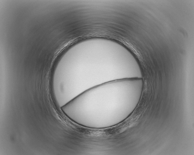 X0000116290446200911300956