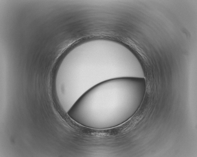 X0000116290448200911300956
