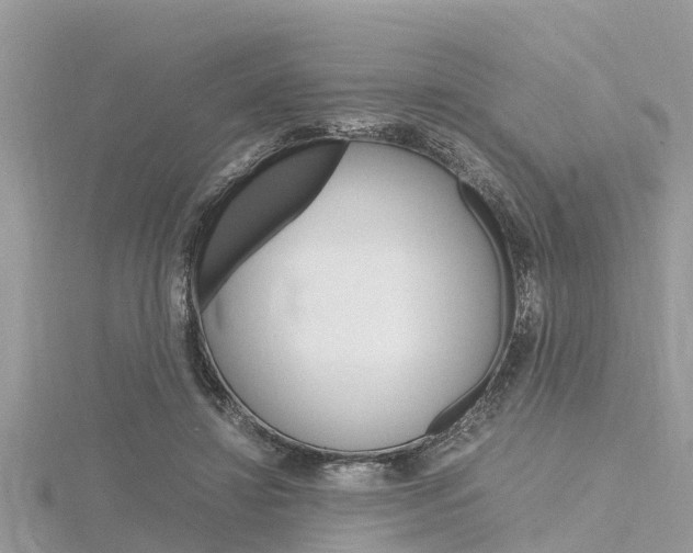 X0000116290452200911300956