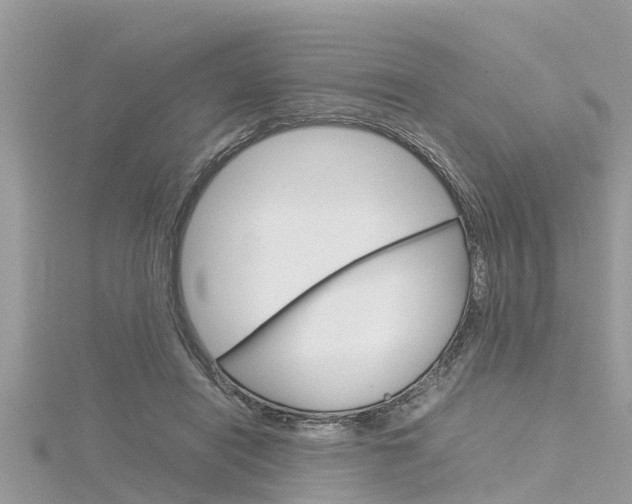 X0000116290454200911300956