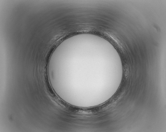 X0000116290455200911300956