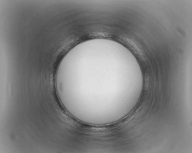 X0000116290457200911300956