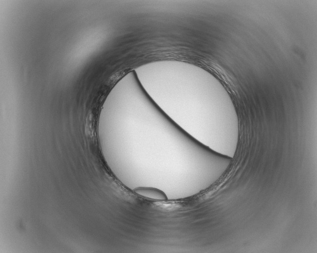 X0000116290477200911300956