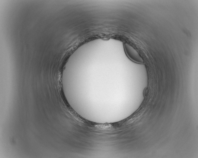 X0000116290480200911300956