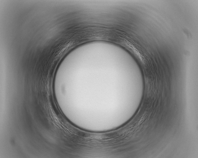 X0000116290482200911300956
